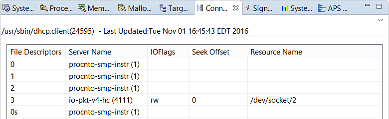 Screenshot of Connection Information view showing file descriptors, server names, IOFlags, and other information