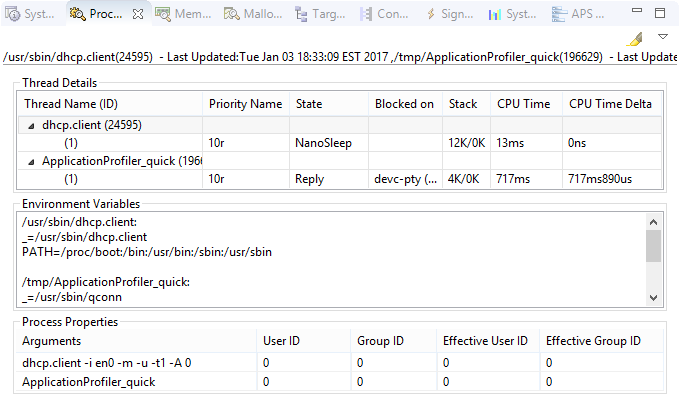 Screenshot of Process Information view that shows thread details, environment variables, and process properties for two processes